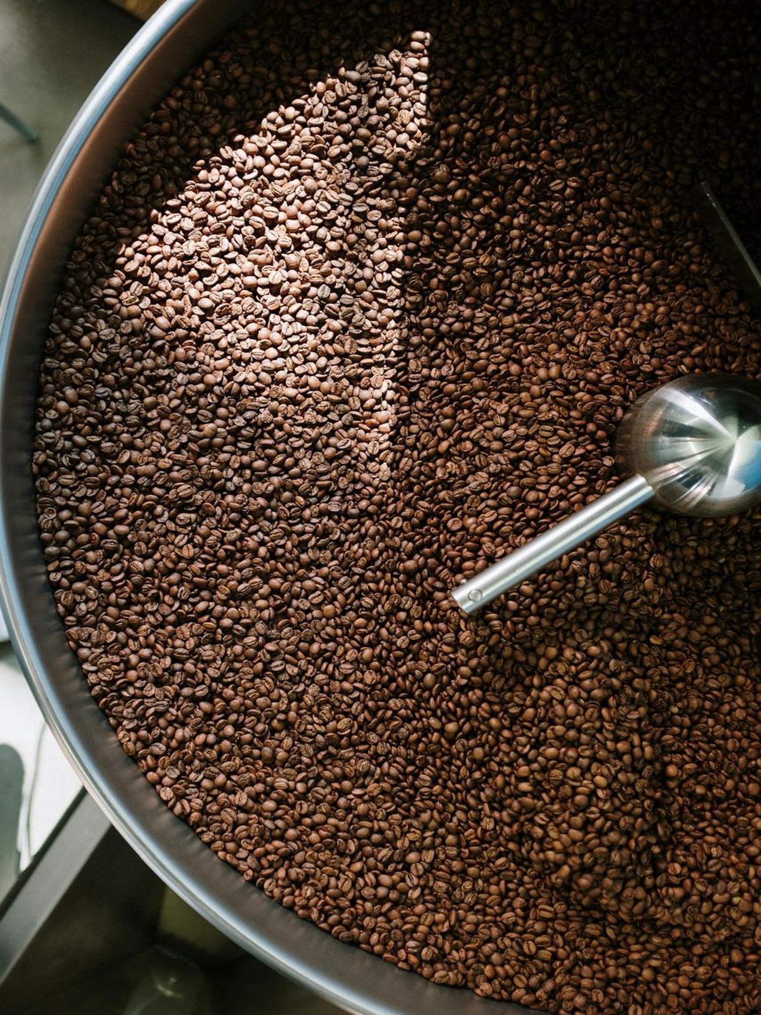 Roasted coffee beans